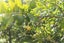 6388A South Road, Pungarehu, Opunake - Carousel 24
