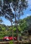 126 Fairview Crescent, Omiha, Waiheke Island - Carousel 9