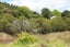 4 Riverview Road, Cooks Beach, Whitianga - Carousel 22