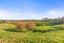 673 HETHERINGTON ROAD, Rotongaro, Waikato, Waikato - Carousel 22