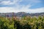 7 de Bettencor Place, Mount Pisa, Cromwell - Carousel 34
