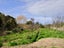 23 Goodwood Road, Goodwood - Carousel 13