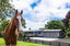 1172 Mapara Road, Taupo - Carousel 30