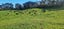 0 Papaitonga Lake Road, Ohau, Ohau - Carousel 5