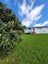 79 Lauderdale Road, Birkdale, Auckland - Carousel 14