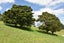 69 Matakohe Wharf Road, Matakohe, Matakohe - Carousel 39