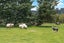 149 Forest Hill Road, Henderson, Auckland - Carousel 3