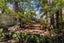 1/203B Clyde Road, Burnside, Christchurch - Carousel 9