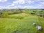 216B Ahiaruhe Road, Ahiaruhe, Carterton - Carousel 8