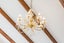 10 Wright Grove, Levin, Levin - Carousel 5