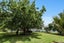 192 Vinegar Hill Road, Kauri, Kamo - Carousel 39