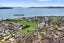 37/1 Piriti Drive, Te Atatu Peninsula, Auckland - Carousel 18