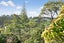 2/29 Salisbury Road, Birkdale, Auckland - Carousel 2