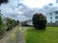 591 Massey Road, Mangere, Auckland - Carousel 11