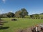 20A Old Tauranga Road, Athenree Gorge, Waihi - Carousel 24