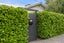 147 Moxham Avenue, Hataitai, Wellington - Carousel 22