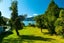 0 Whatanihi Pelorus, Whatanihi Bay, Havelock - Carousel 24