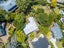 39A Hythe Terrace, Mairangi Bay, Auckland - Carousel 16