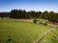 0 Ruatiti Rd, Ruatiti - Carousel 4
