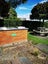 5N/10 Crown Lynn Place, New Lynn, Auckland - Carousel 5