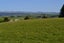 0 Lambton Street, Maheno, Oamaru - Carousel 6