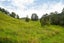 0 Warner Road, Takahue, Kaitaia - Carousel 1