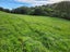 144 Ackworth Road, Lepperton, New Plymouth - Carousel 7