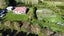 82 Titri Road, Titri - Carousel 10