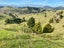 299 Peria Road, Peria, Kaitaia - Carousel 5