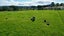 3 Te Mai Road, Woodhill, Whangārei - Carousel 7