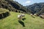 1344 Otara Road, Opotiki, Opotiki, Bay Of Plenty - Carousel 12
