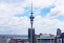 2010/11 Liverpool Street, Auckland Central, Auckland - Carousel 9