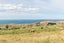 0 Waimarama Road, Waimarama, Waimarama - Carousel 11