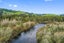 205 Te Rena Road, Kakahi - Carousel 29