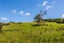 47 Witheford Road, Wharehine, Wellsford - Carousel 22