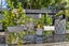 20 Chatswood Grove, Chatswood, Auckland - Carousel 40