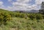 62A Hikuai Settlement Road, Hikuai, Hikuai - Carousel 8