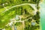 32 Moetapu Bay Road, Moetapu Bay, Linkwater - Carousel 4