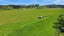 1009 White Pine Bush Road, Taneatua, Whakatane - Carousel 26