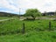 14 Broome Street, Seddonville, Westport - Carousel 20