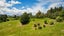 60 Dalefield Road, Dalefield, Queenstown - Carousel 12