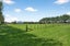 228B Norfolk Road, Carterton, Carterton, Wellington - Carousel 18