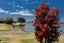 15 Athenree Road, Athenree, Katikati - Carousel 20