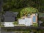85 Meadowbank Road, Meadowbank, Auckland - Carousel 22