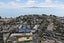 71 Selwyn Avenue, Mission Bay, Auckland - Carousel 24