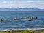 16 Mylindas Road, WHAKATIWAI, MIRANDA - Carousel 5