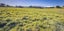 14 Smiths Track, Mangamutu, Pahiatua - Carousel 5