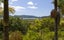 66B Rataroa Road, Kaeo, Kaeo - Carousel 8