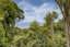 16 La Trobe Track, Karekare, New Lynn - Carousel 44