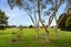 84 Masters Avenue, Hillcrest, Hamilton - Carousel 4